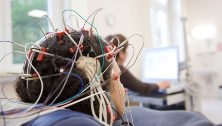 Forschung Neurophysiologie 01 Forschung Neurophysiologie 01