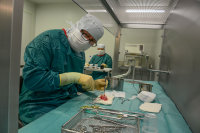 Präzisionsarbeit im Reinraumlabor: Hier werden die Transplantate für die Kälte-Einlagerung und spätere Verwendung sorgfältig aufbereitet (Foto Armin Kühn).